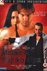 Movie poster: Maine Dil Tujhko Diya