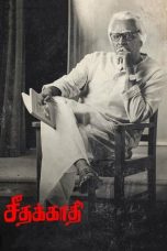 Movie poster: Seethakathi