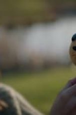 Movie poster: Lost Ollie Season 1 Episode 4