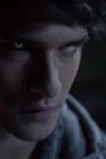 Movie poster: Teen Wolf Season 1 Episode 8
