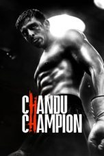 Chandu Champion 2024